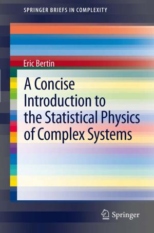 Cover of the book A Concise Introduction to the Statistical Physics of Complex Systems by 