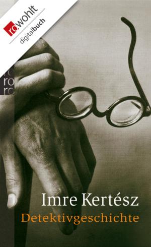 Cover of the book Detektivgeschichte by Manfred Geier