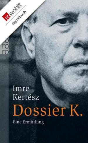 Cover of the book Dossier K. by Janwillem van de Wetering