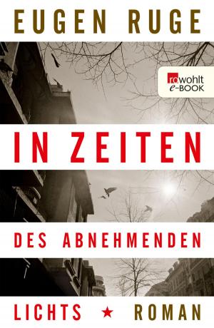 Cover of the book In Zeiten des abnehmenden Lichts by Petra Hammesfahr