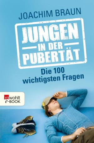 Cover of the book Jungen in der Pubertät by Meike Haberstock