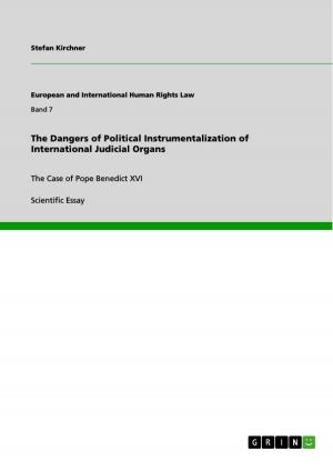 Cover of the book The Dangers of Political Instrumentalization of International Judicial Organs by Nancy Mergard