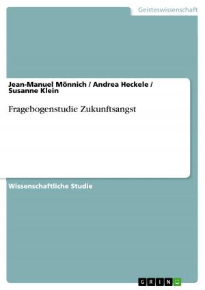 Cover of the book Fragebogenstudie Zukunftsangst by Ulrike Hammer