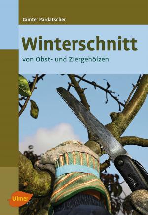 Cover of the book Winterschnitt by Christine Recht