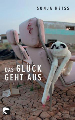 Cover of the book Das Glück geht aus by Ronen Steinke