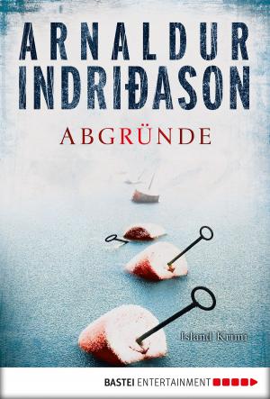 Cover of the book Abgründe by Jason Dark