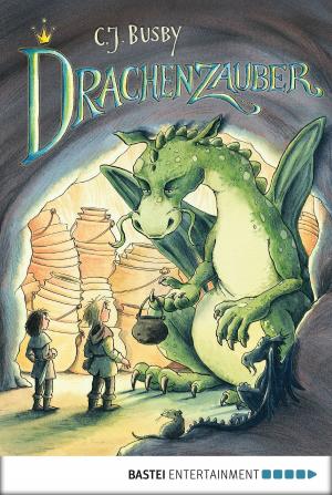 Book cover of Drachenzauber