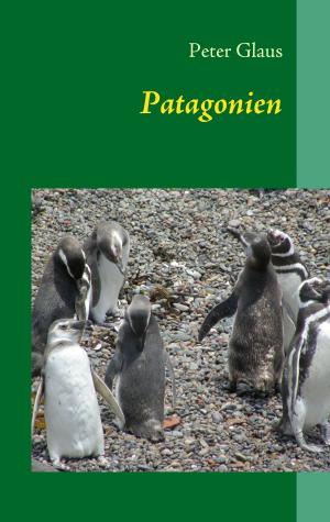Cover of the book Patagonien by Nino Londaridze-Hakala
