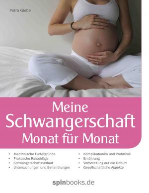 Cover of the book Meine Schwangerschaft by Thomas Stan Hemken