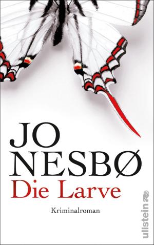Cover of the book Die Larve by Åke Edwardson