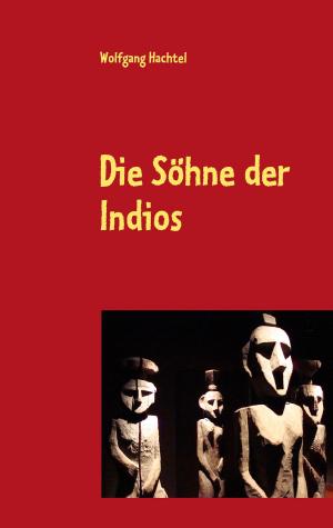 Cover of the book Die Söhne der Indios by Robert Haas