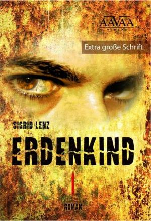 Cover of the book Erdenkind by Anja Ollmert