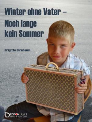 Cover of the book Winter ohne Vater - Noch lange kein Sommer by Ulrich Hinse