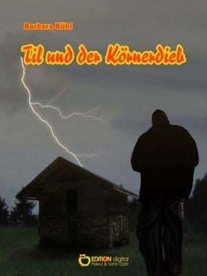 Cover of the book Til und der Körnerdieb by Jan Flieger
