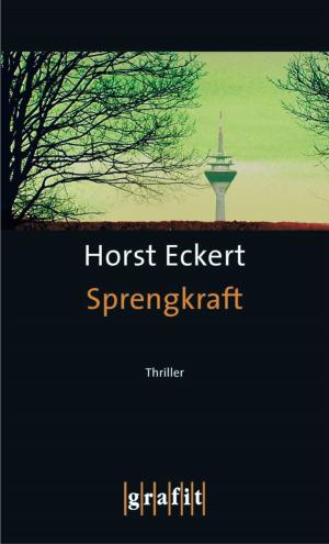 Cover of the book Sprengkraft by Jan Zweyer