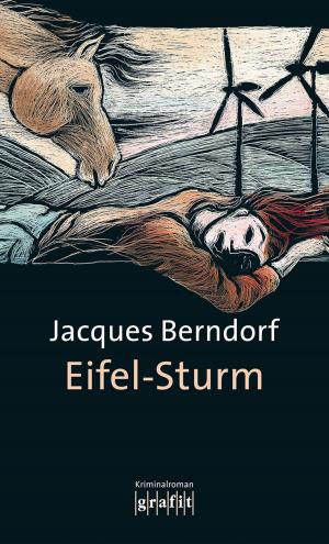 Cover of the book Eifel-Sturm by Jacques Berndorf