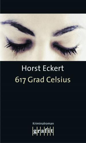 Cover of the book 617 Grad Celsius by Leo P. Ard, Reinhard Junge