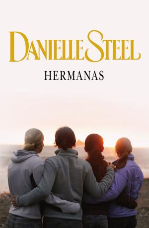 Cover of the book Hermanas by Javier Bernal