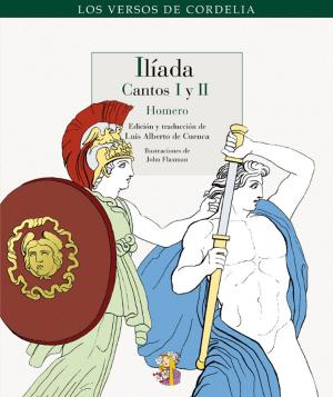 Cover of the book Ilíada by Vittorio Tatti