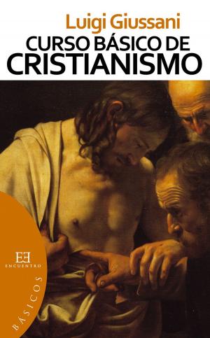 Book cover of Curso básico de cristianismo