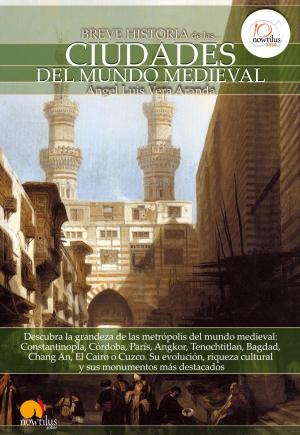 Cover of the book Breve historia de las ciudades del mundo medieval by Miguel ÁNgel Novillo López