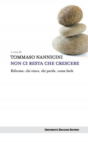 Cover of the book Non ci resta che crescere by Lawrence Lessig