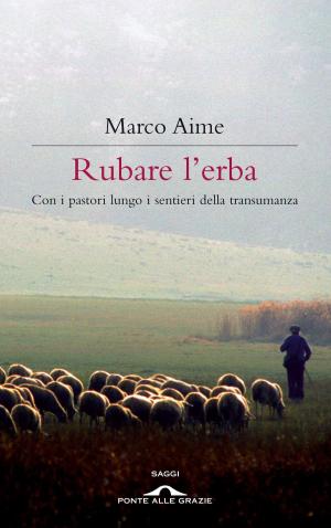 Cover of the book Rubare l'erba by Slavoj Žižek