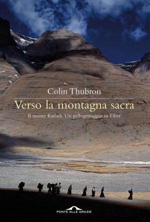 Cover of the book Verso la montagna sacra by Slavoj Žižek