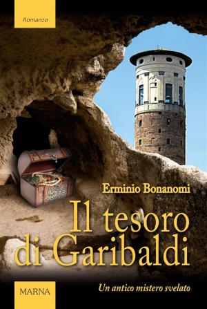 Cover of the book Il tesoro di Garibaldi by Paolo Azzimondi