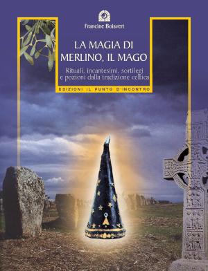 Book cover of La magia di Merlino, il mago