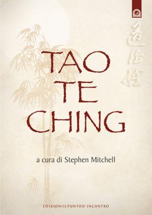 Cover of the book Tao Te Ching by Donna Schwenk