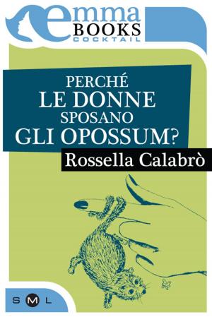 Cover of the book Perché le donne sposano gli opossum? by A.K. Ryden