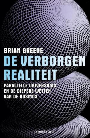 Book cover of Verborgen realiteit