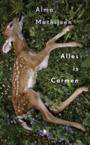 Cover of the book Alles is Carmen by David van Reybrouck
