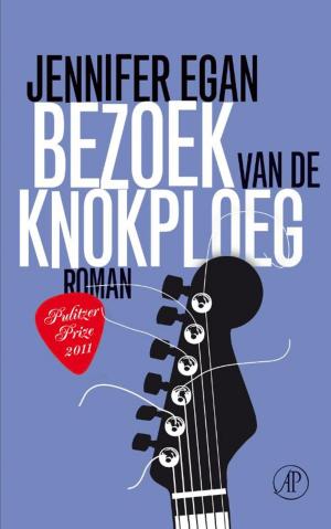 Cover of the book Bezoek van de knokploeg by Robert Anker