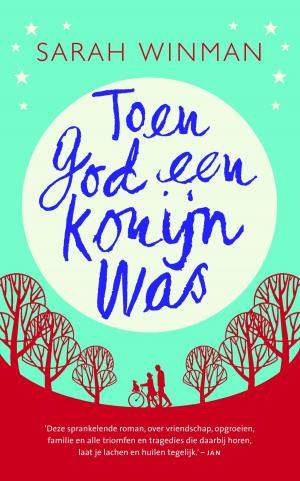 Cover of the book Toen God een konijn was by Deon Meyer