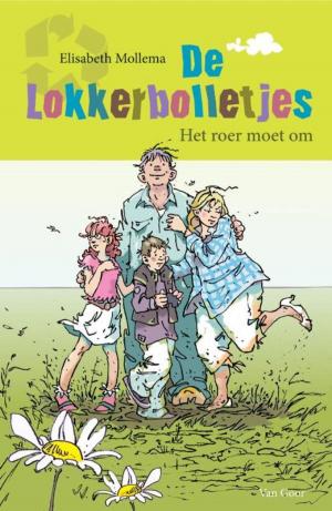 Book cover of De Lokkerbolletjes