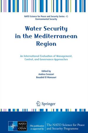Cover of the book Water Security in the Mediterranean Region by T. Rabe, L. Kiesel, B. Runnebaum