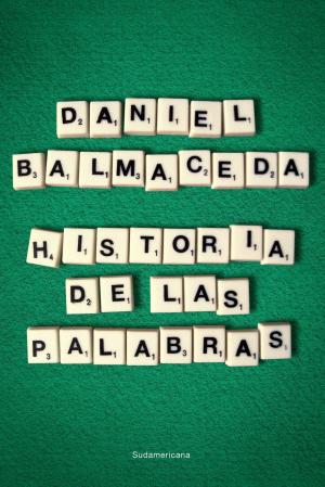 Cover of the book Historia de las palabras by Daniel Fernández