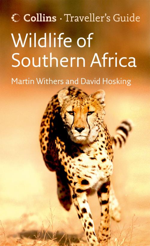Cover of the book Wildlife of Southern Africa (Traveller’s Guide) by David Hosking, Martin Withers, HarperCollins Publishers