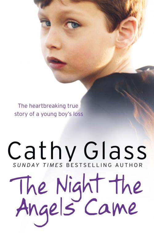 Cover of the book The Night the Angels Came by Cathy Glass, HarperCollins Publishers