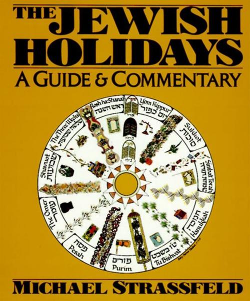 Cover of the book Jewish Holidays by Michael Strassfeld, William Morrow Paperbacks