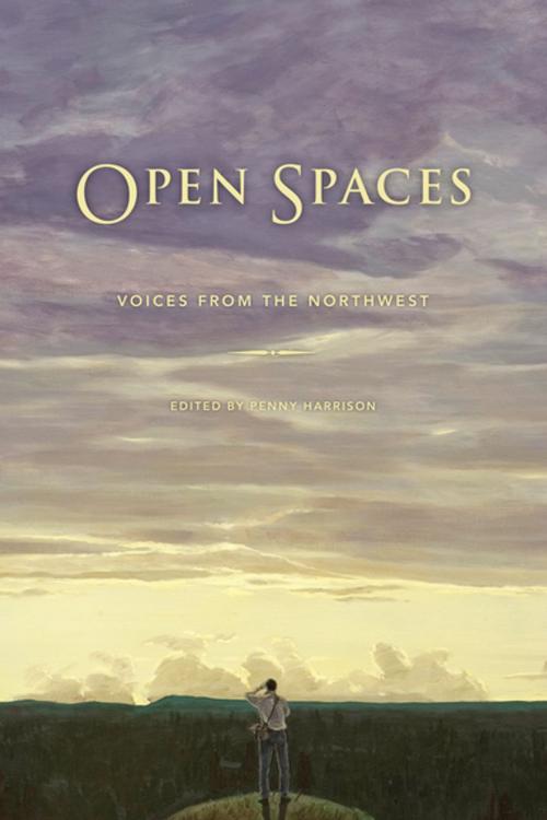 Cover of the book Open Spaces by , University of Washington Press