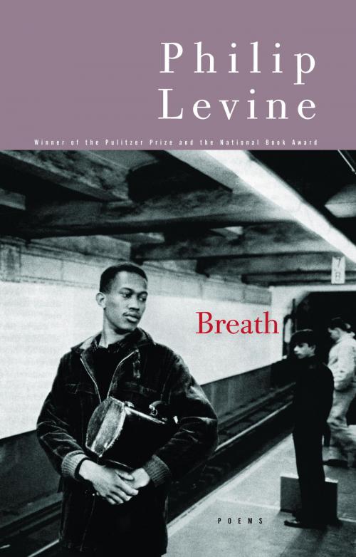 Cover of the book Breath by Philip Levine, Knopf Doubleday Publishing Group