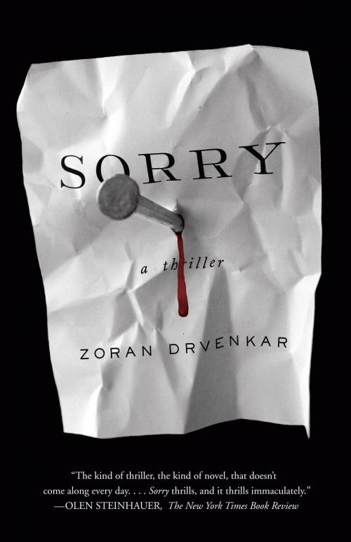 Cover of the book Sorry by Zoran Drvenkar, Knopf Doubleday Publishing Group