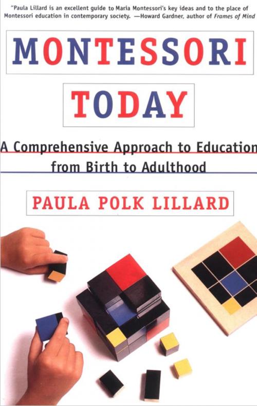 Cover of the book Montessori Today by Paula Polk Lillard, Knopf Doubleday Publishing Group