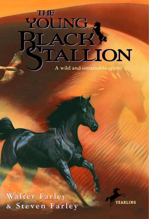 Cover of the book The Young Black Stallion by Walter Farley, Steven Farley, Random House Children's Books