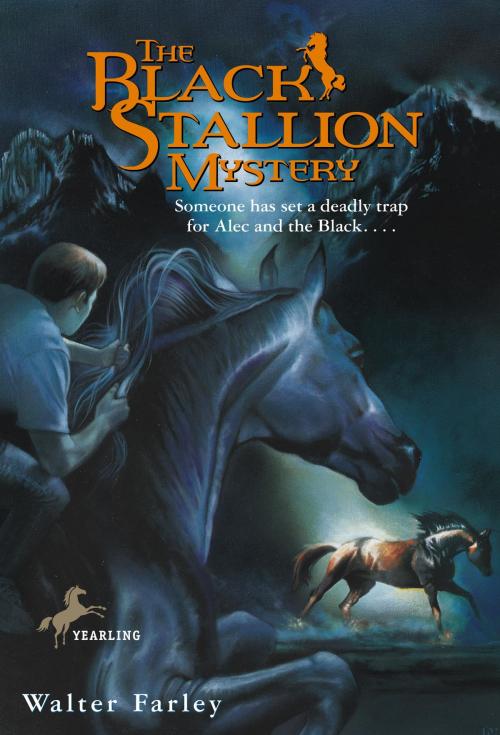 Cover of the book The Black Stallion Mystery by Walter Farley, Random House Children's Books