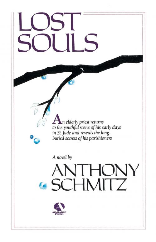 Cover of the book Lost Souls by Anthony Schmitz, Random House Publishing Group