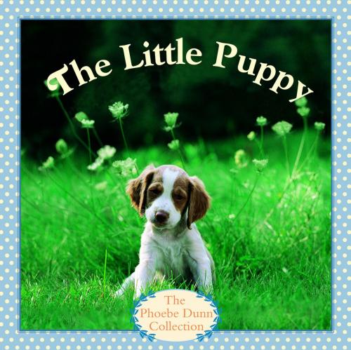 Cover of the book The Little Puppy by Judy Dunn, Random House Children's Books